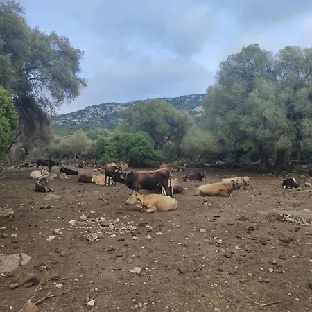 Dommu De Nannai Moro: Con Terrazza *