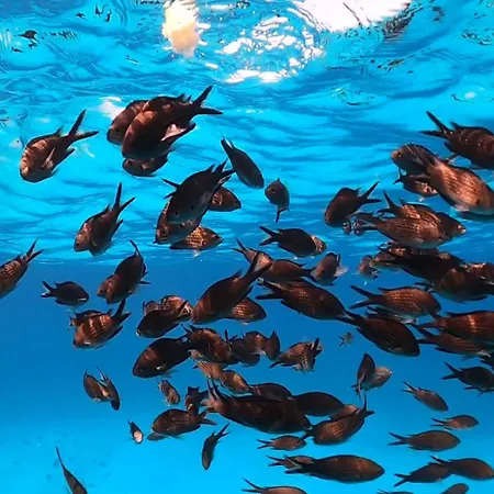 度假居 Dommu De Nannai Moro: Con Terrazza