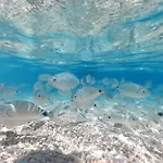 Casa vacanze Dommu De Nannai Moro: Con Terrazza