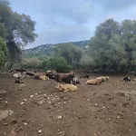 Dommu De Nannai Moro: Con Terrazza *