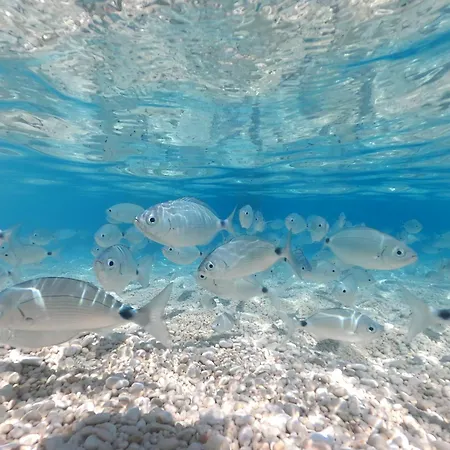 펜션 Dommu De Nannai Moro: Con Terrazza