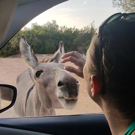 펜션 Dommu De Nannai Moro: Con Terrazza